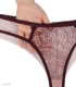 ست شورت و سوتین توری فنردار Barone بارون گلدوزی کد 345 مدل 003